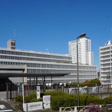 6月1日から目黒区特定健康診査（健診）が始まります