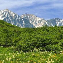 夏の登山や高地への旅行ｰ高山病の対策お済みですか