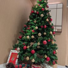 クリスマス一色のクリニック