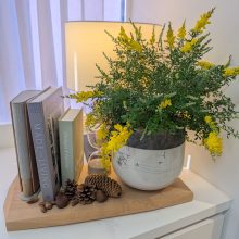 院内にも春を感じる季節感を